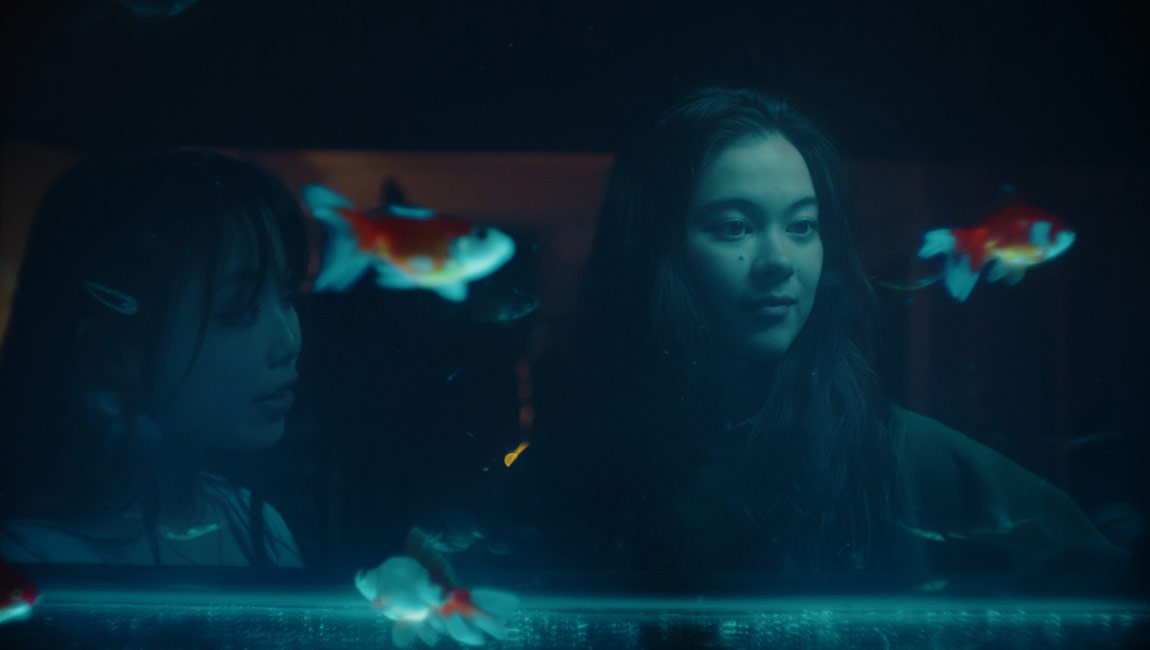 Lásku pocítite na valentínskom premietaní krátkych filmov od Filmového festivalu inakosti